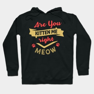 Are You Kitten Me Right Meow Hoodie